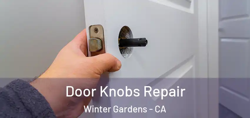 Door Knobs Repair Winter Gardens - CA