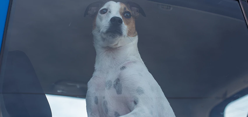 Car Lockout Solutions in Winter Gardens, California